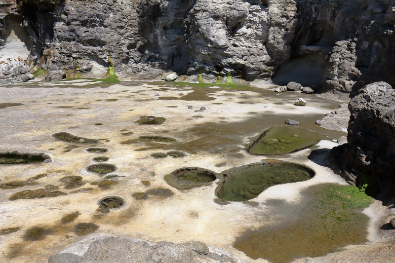 Illustration for article titled Pics from the (Ocean Floor): 2018-05-05 at Botanical Beach